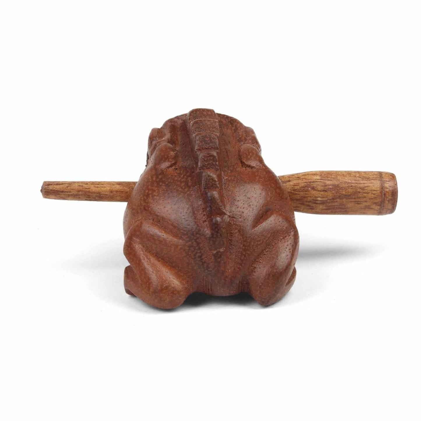 Rear view of mini carved acacia frog guiro showing back ridges and striker passing through body