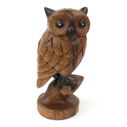 Acacia owl on branch carving, straight front view on white background showing feather detail and dark eyes