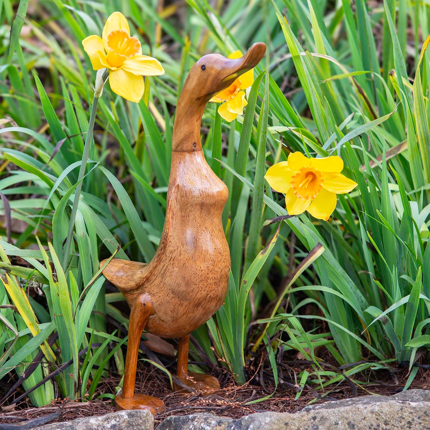 Tall bamboo root duck carving standing among daffodils in a garden border, Indonesia, approx. 45cm high