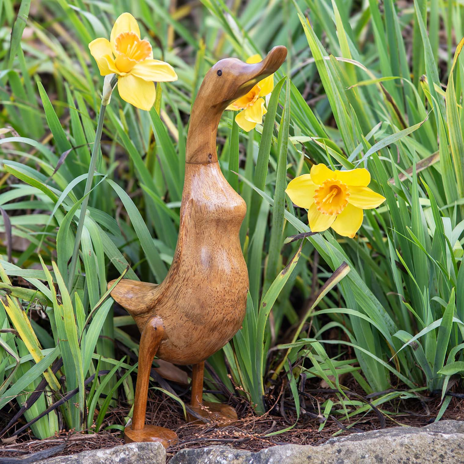 Bamboo root duck carving standing among daffodils in a garden, Indonesia, approx 45cm high