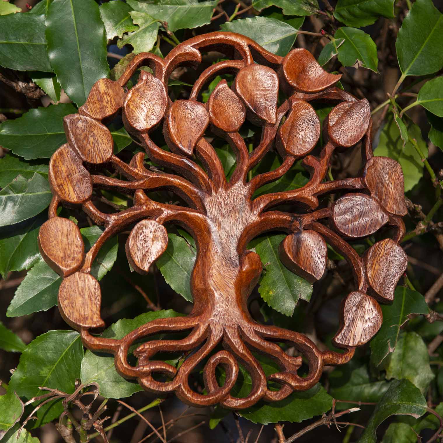 Circular carved wood tree of life plaque with heart-shaped leaves, warm reddish-brown grain, Bali Indonesia, set against real