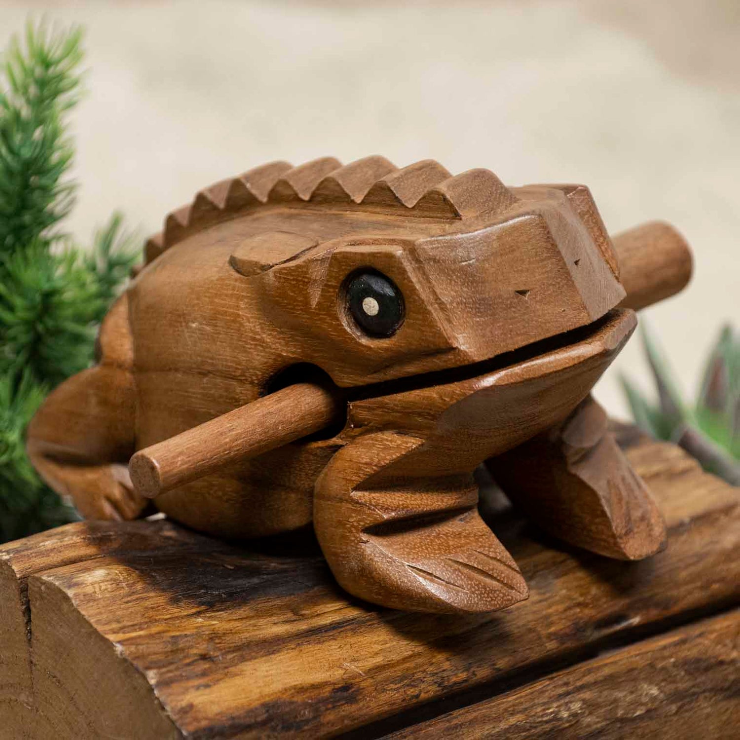 Medium acacia wood frog guiro with striker, front three-quarter view on wooden surface, northern Thailand