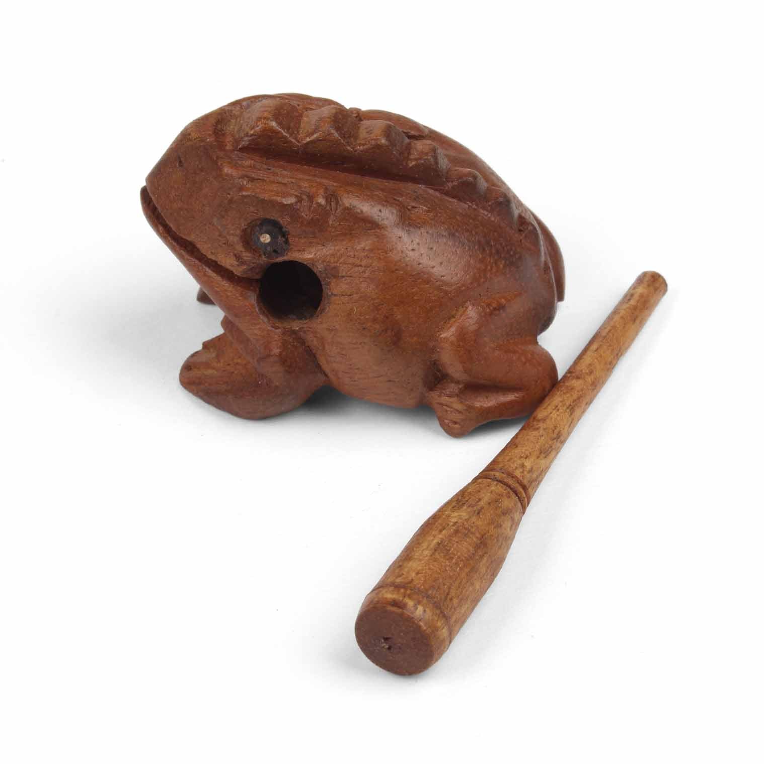 Mini acacia frog guiro, overhead rear three-quarter view showing ridged back and striker, northern Thailand