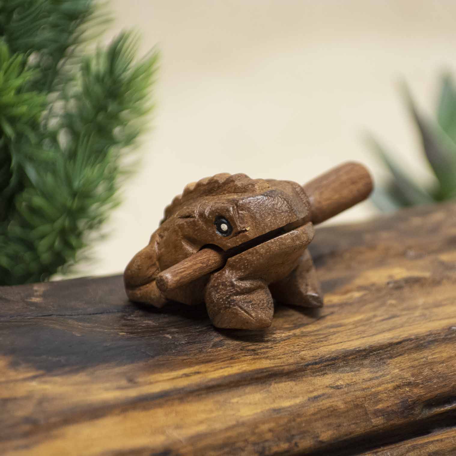 Mini acacia wood frog guiro with striker, front three-quarter view on wooden surface, northern Thailand