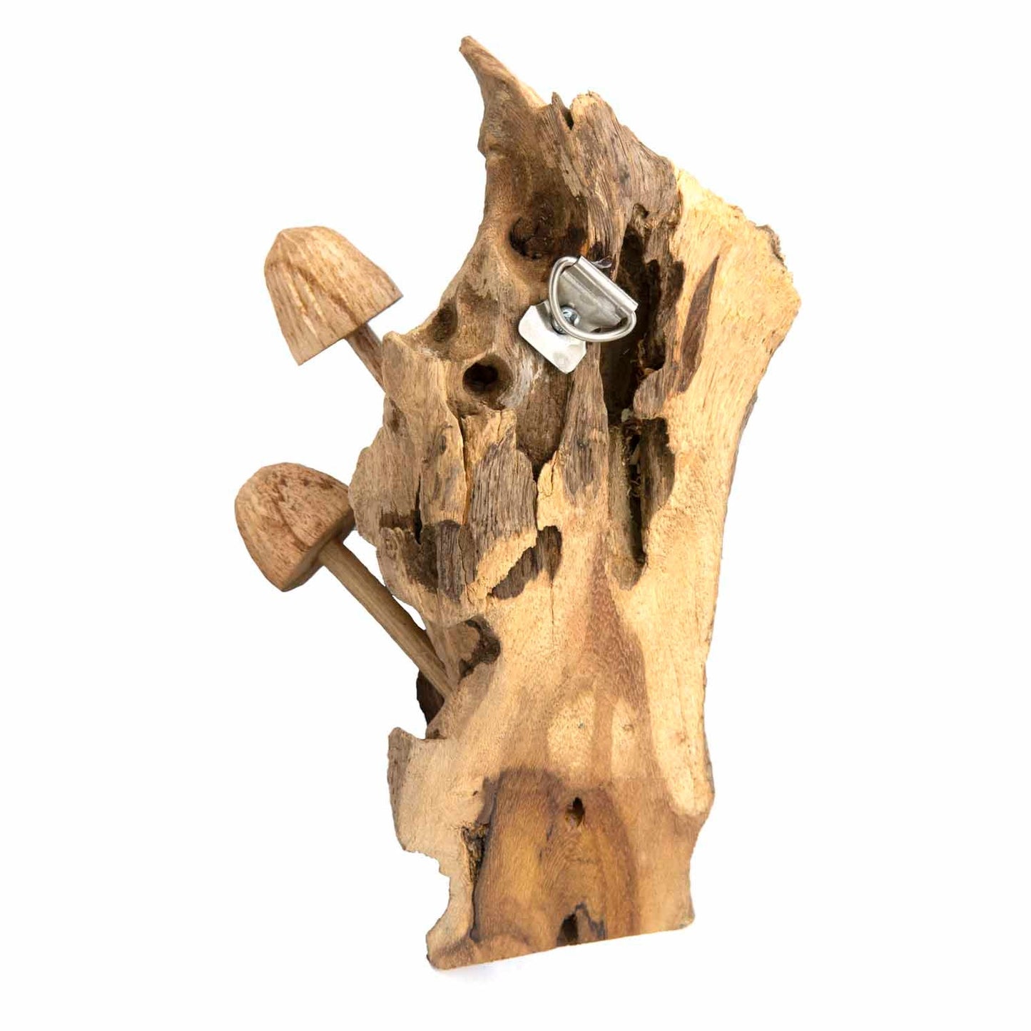 Reverse of carved mushroom wall piece showing metal D-ring hanging hook, Indonesia