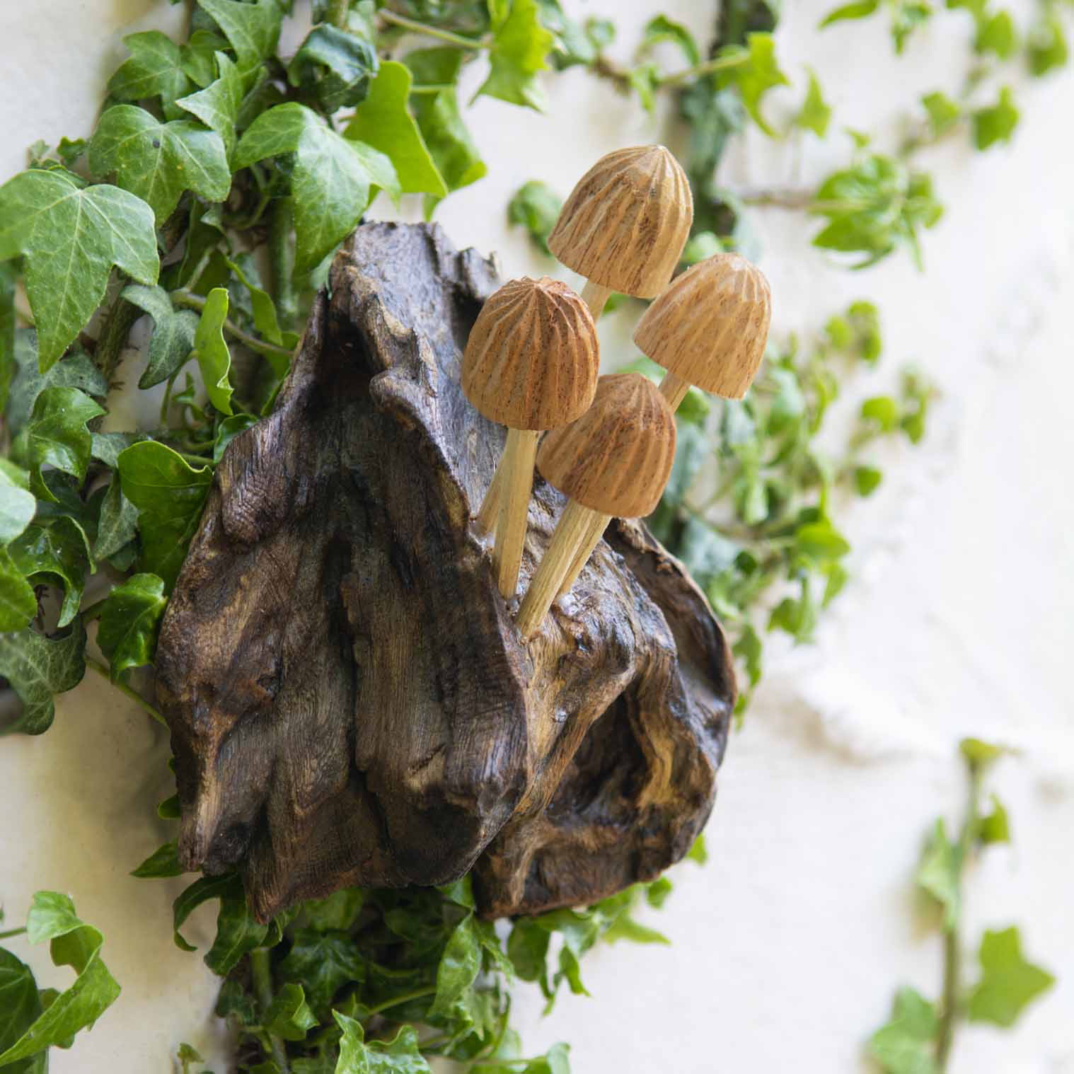 Small carved wood mushrooms on a dark root formation, hung on a white wall with ivy, Indonesia