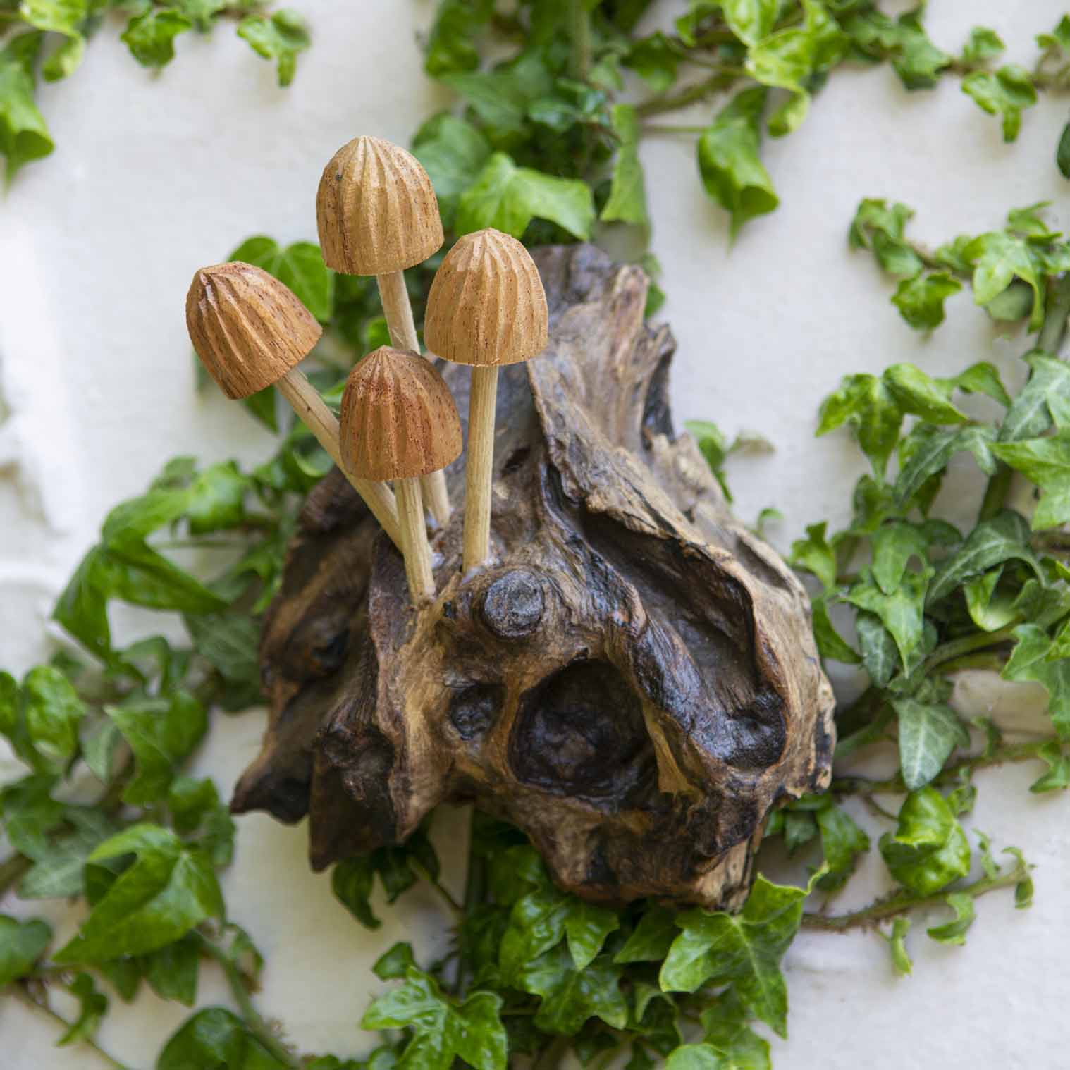 Top-down view of carved pale wood mushroom cluster on a gnarled root base, surrounded by ivy