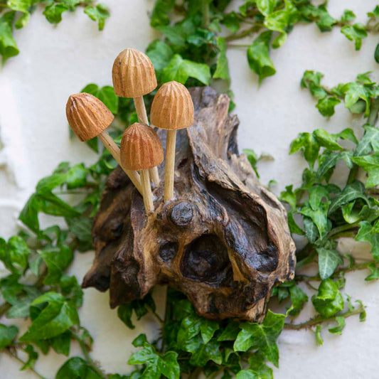 Top-down view of carved pale wood mushroom cluster on a gnarled root base, surrounded by ivy