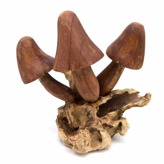Front view of three wide-capped carved wood mushrooms on a pale burl base, white background