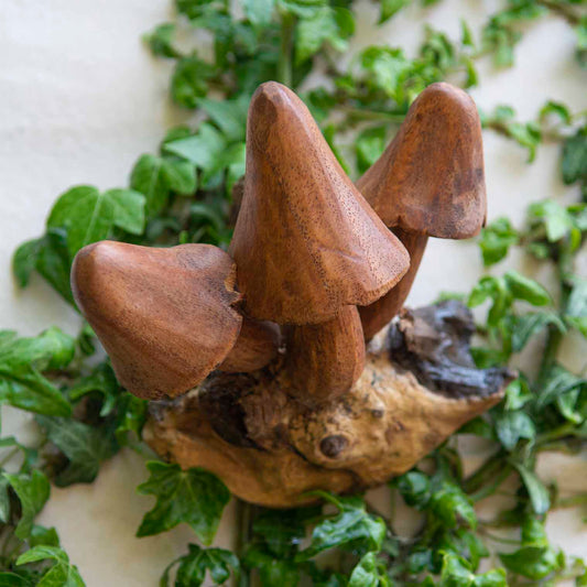 Three large carved brown wood mushrooms on a burl root base, surrounded by ivy, top-down view, Indonesia