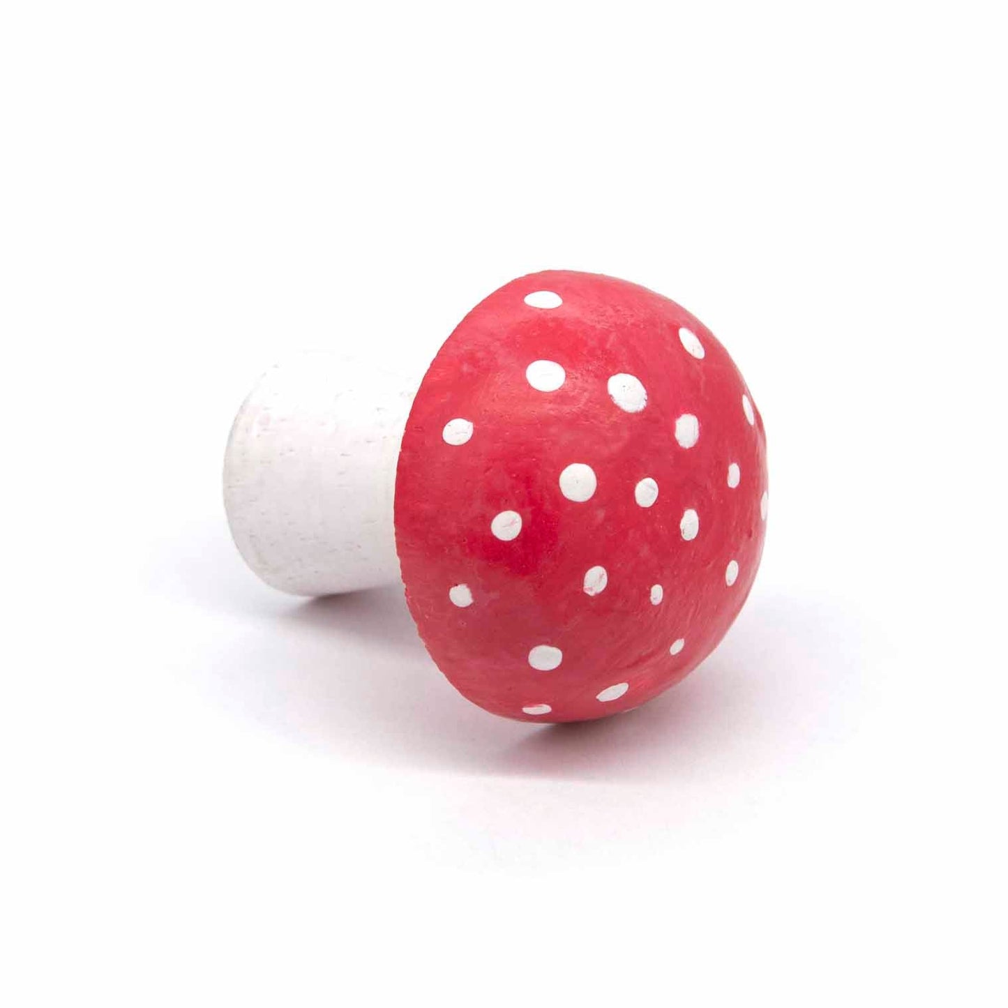 Small wooden fly agaric mushroom on its side showing full spotted cap, Indonesia