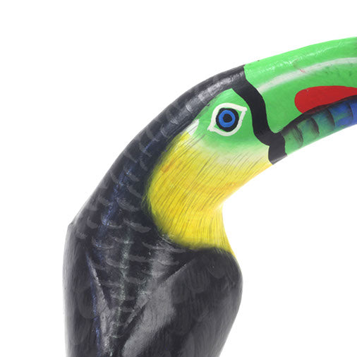 Close-up of painted toucan head, showing blue eye, green bill tip and red throat marking