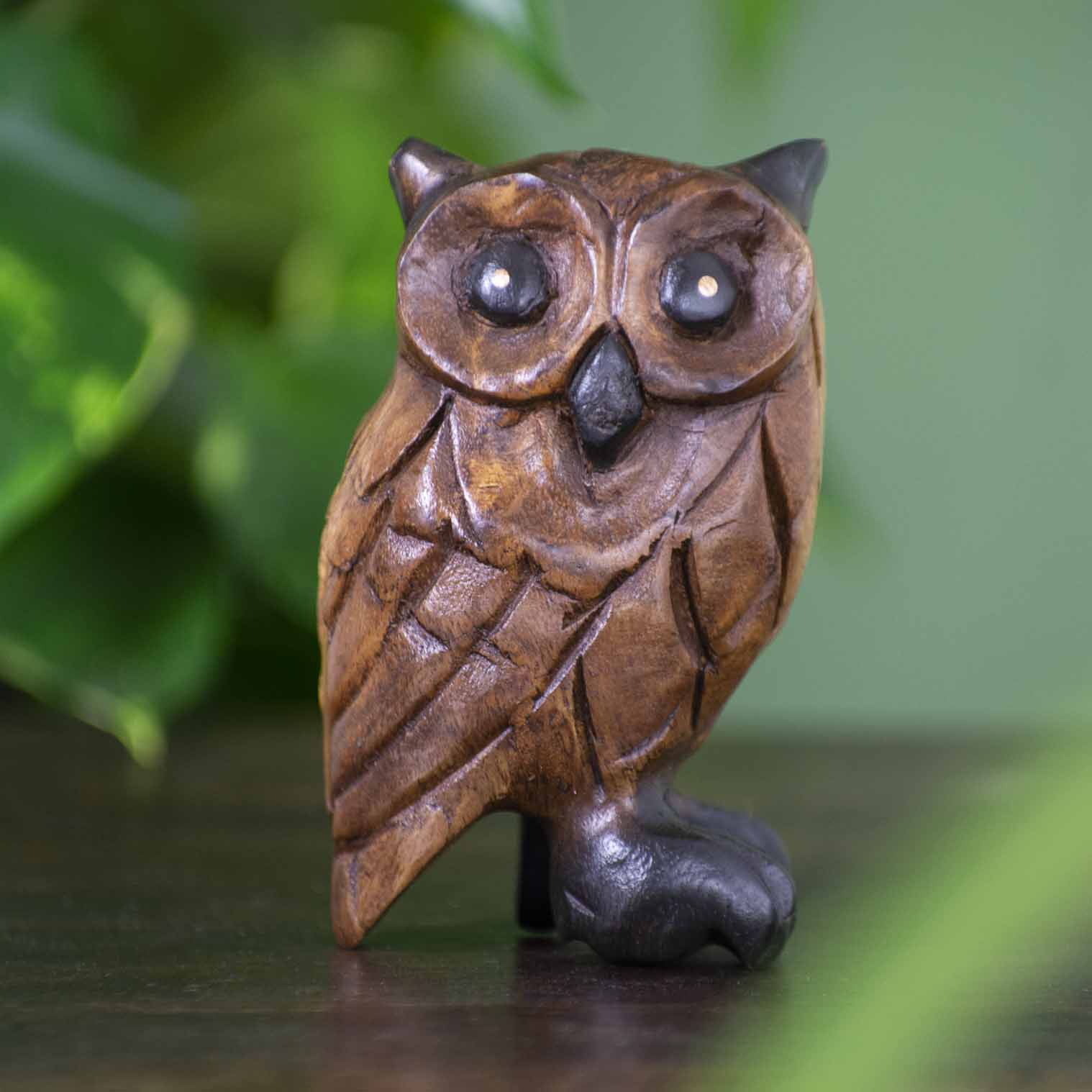 Medium Rain Tree wood owl carving, front view on dark surface showing large disc eyes and carved feather detail, northern Tha