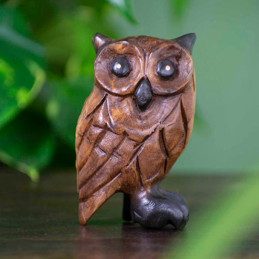 Medium Rain Tree wood owl carving, front view on dark surface showing large disc eyes and carved feather detail, northern Tha