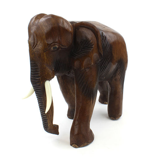 Large carved Raintree elephant, side profile showing defined ear, smooth back and amber grain, white background