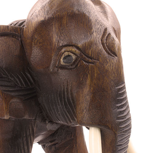 Close-up of extra large Raintree elephant head showing carved eye, wrinkle detail and ribbed trunk, Thailand