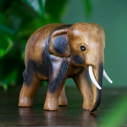 Medium hand-carved Raintree elephant figurine with warm golden-brown grain, side view on dark surface, Thailand