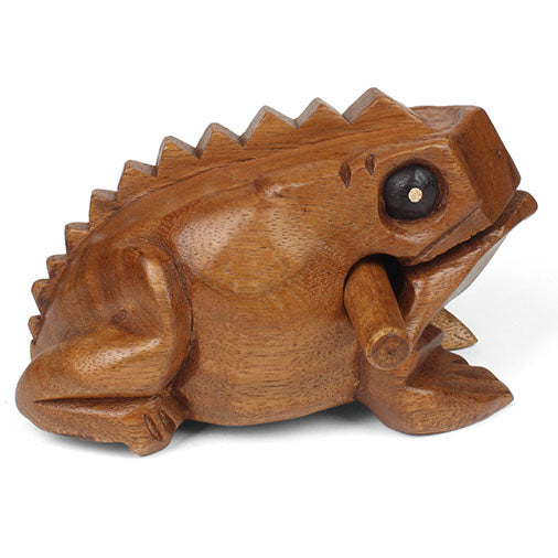 Medium acacia frog guiro, side view on white background showing ridged back profile and striker in mouth