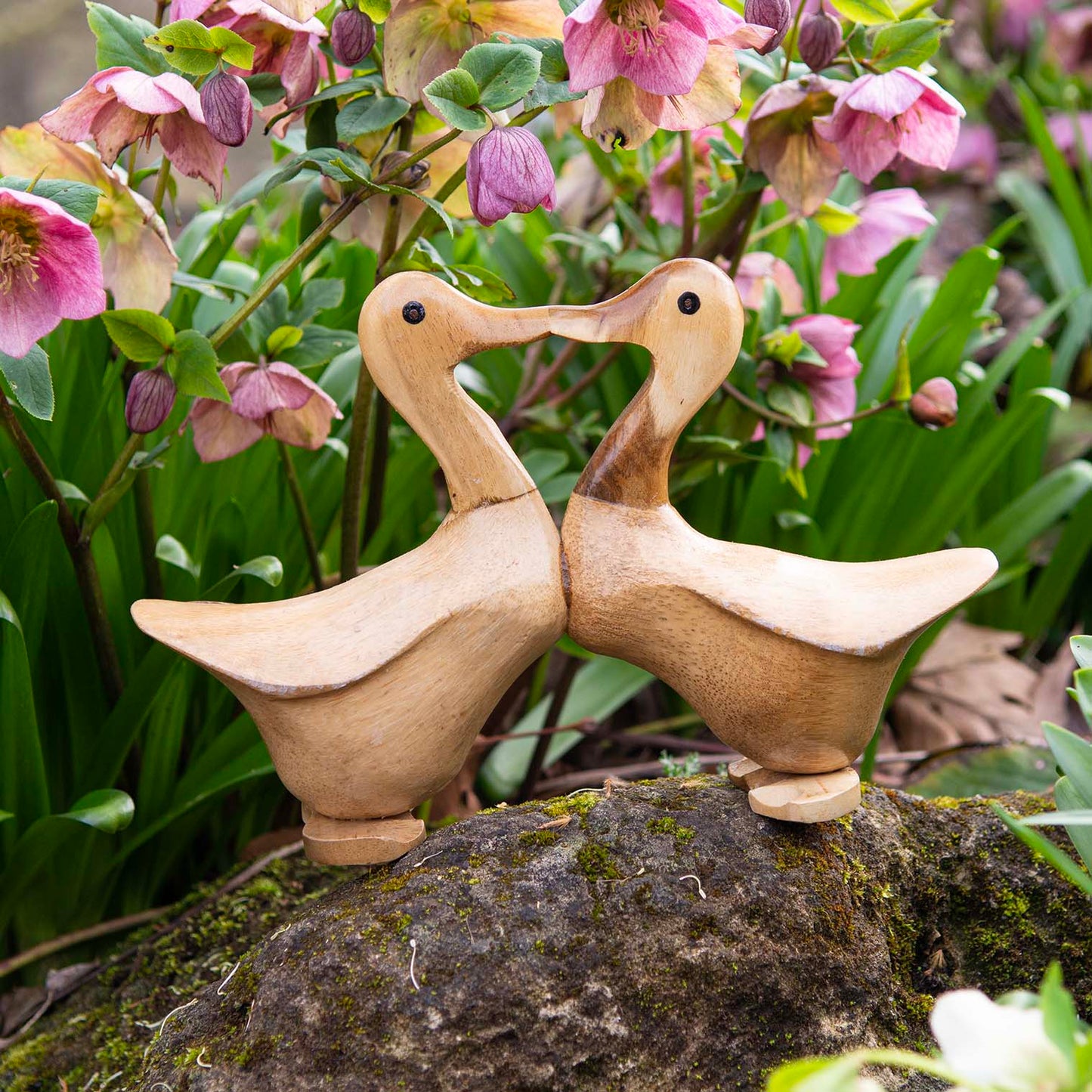 Pair of kissing bamboo root ducks beak to beak on a mossy stone among pink hellebores, Indonesia