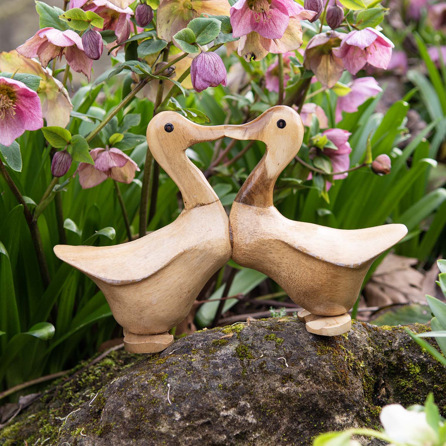 Pair of kissing bamboo root ducks beak to beak on a mossy stone among pink hellebores, Indonesia