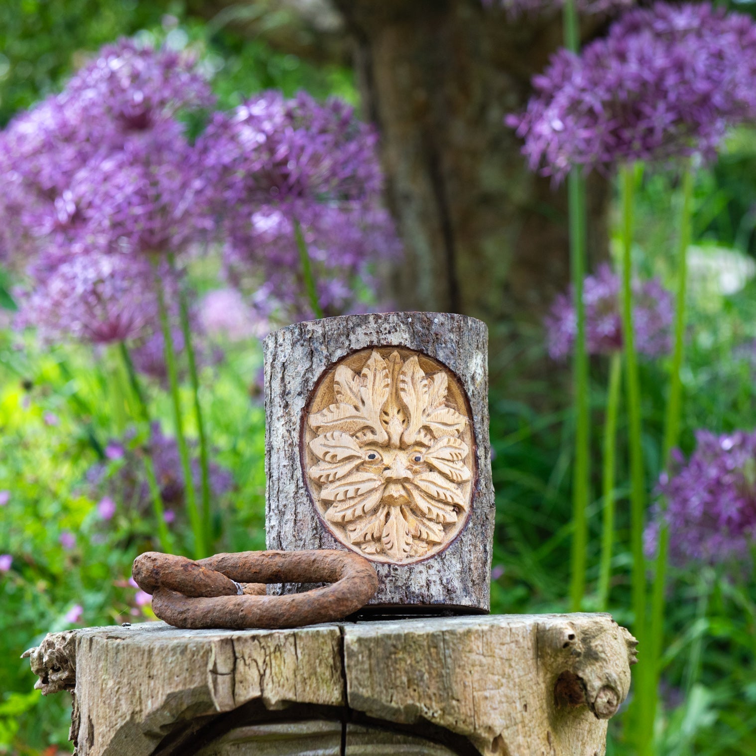Green Man face relief-carved into a white wood trunk section with intact bark, displayed outdoors among purple alliums