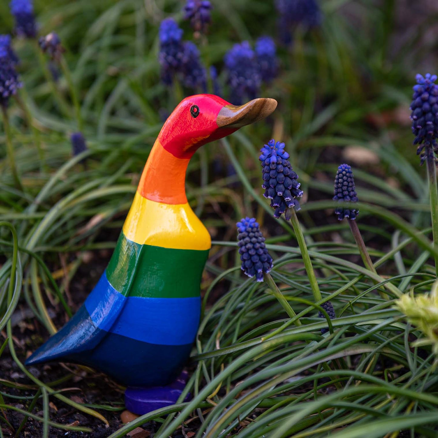 Rainbow-striped bamboo root duckling among blue muscari flowers, side view showing red head and violet feet