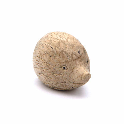 Small Indonesian wood hedgehog, three-quarter view showing spine texture and smooth underside