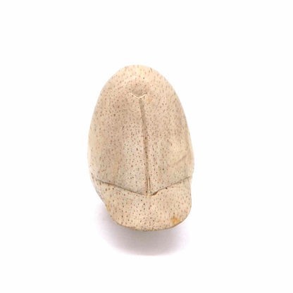 Small Indonesian wood bird carving, rear view showing smooth pale form and tail line