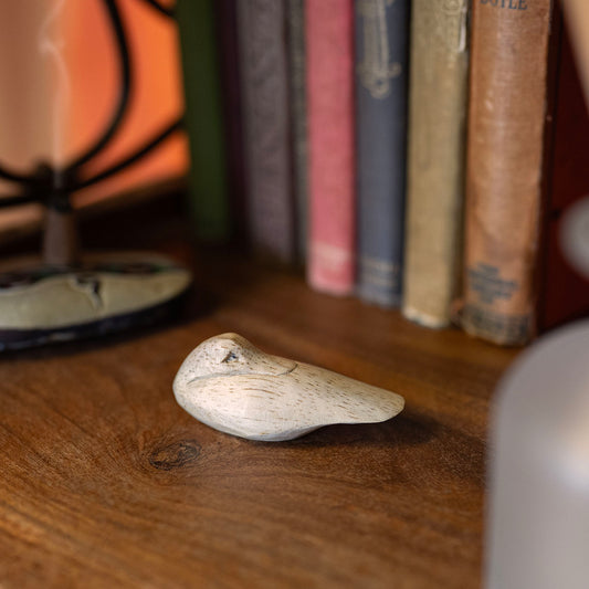 Pale Albizia wood sleeping duck carving resting on wooden shelf beside stacked books