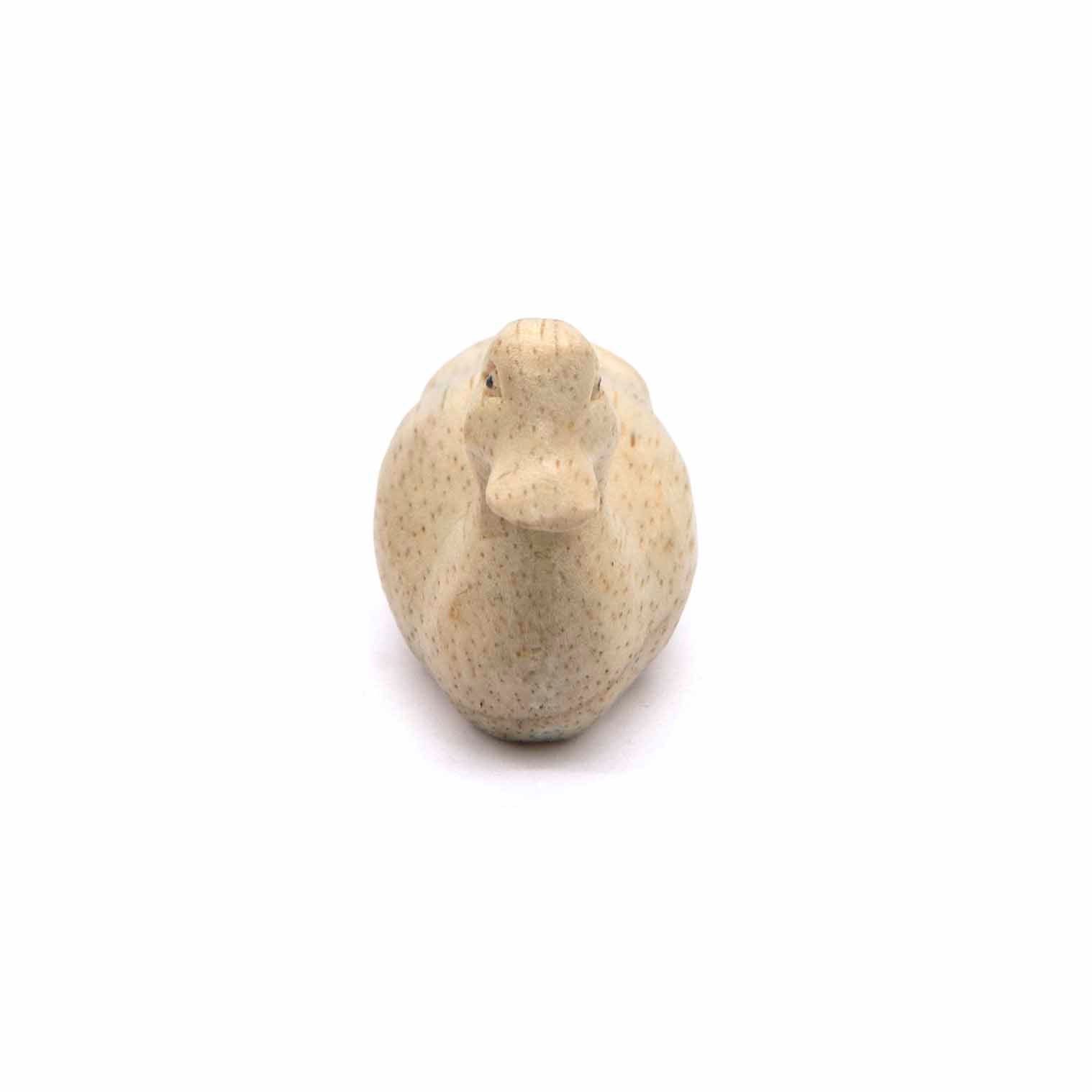 Front-on view of carved Albizia duck, bill and rounded breast visible