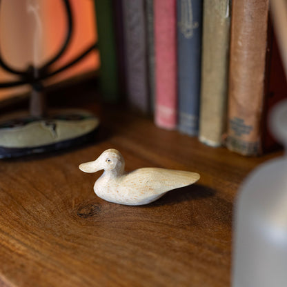 Hand-carved pale Albizia wood duck at rest on wooden shelf, head raised, with visible grain and tool marks