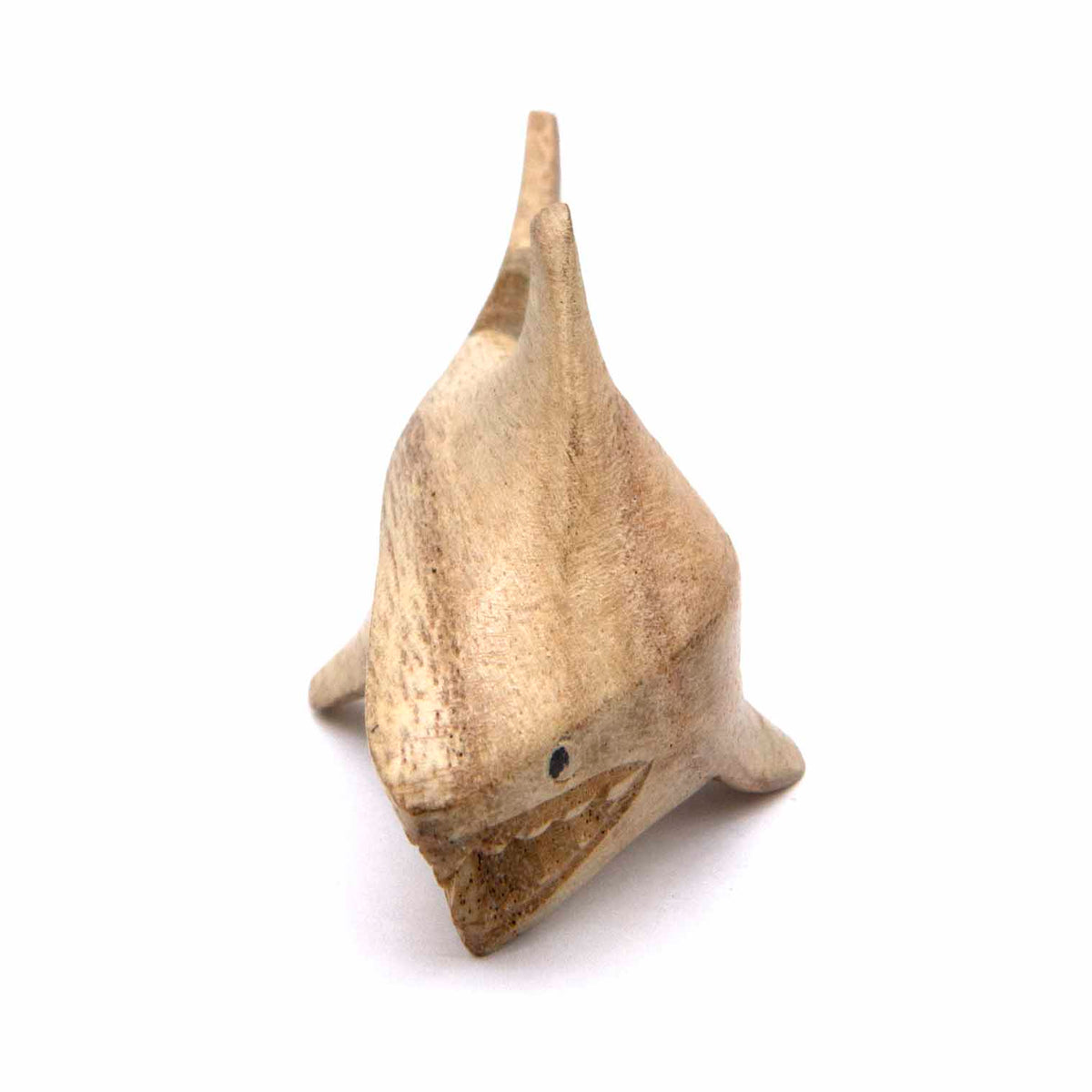 Wooden shark carving viewed from above, showing pointed snout and open mouth with visible teeth