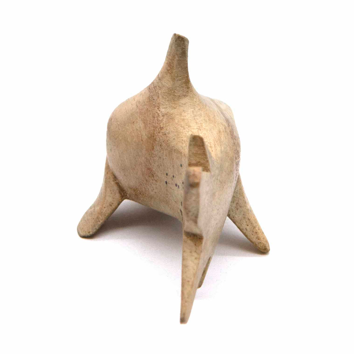 Wooden shark carving viewed from rear and below, displaying tail and body proportions