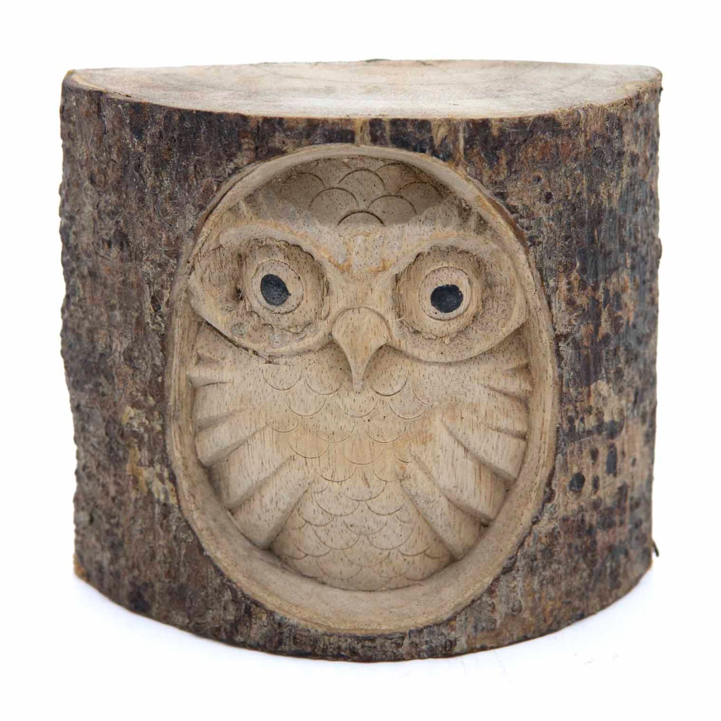 Carved owl in log section, straight front view on white background showing pale inner wood and dark bark frame