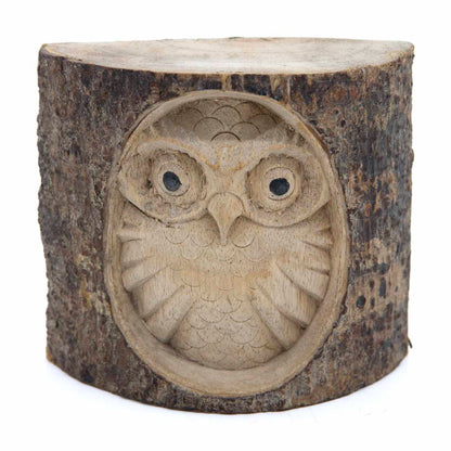 Carved owl in log section, straight front view on white background showing pale inner wood and dark bark frame