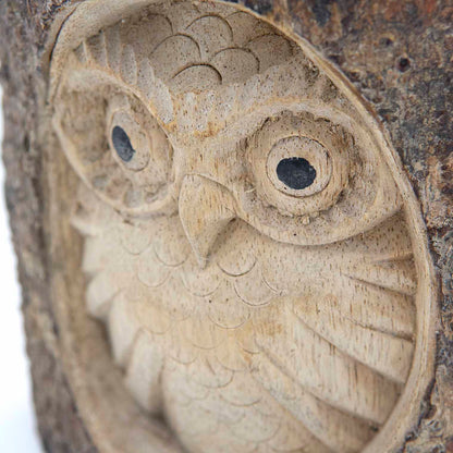 Close detail of owl face carved in pale wood showing feather scales, disc eyes and hooked beak