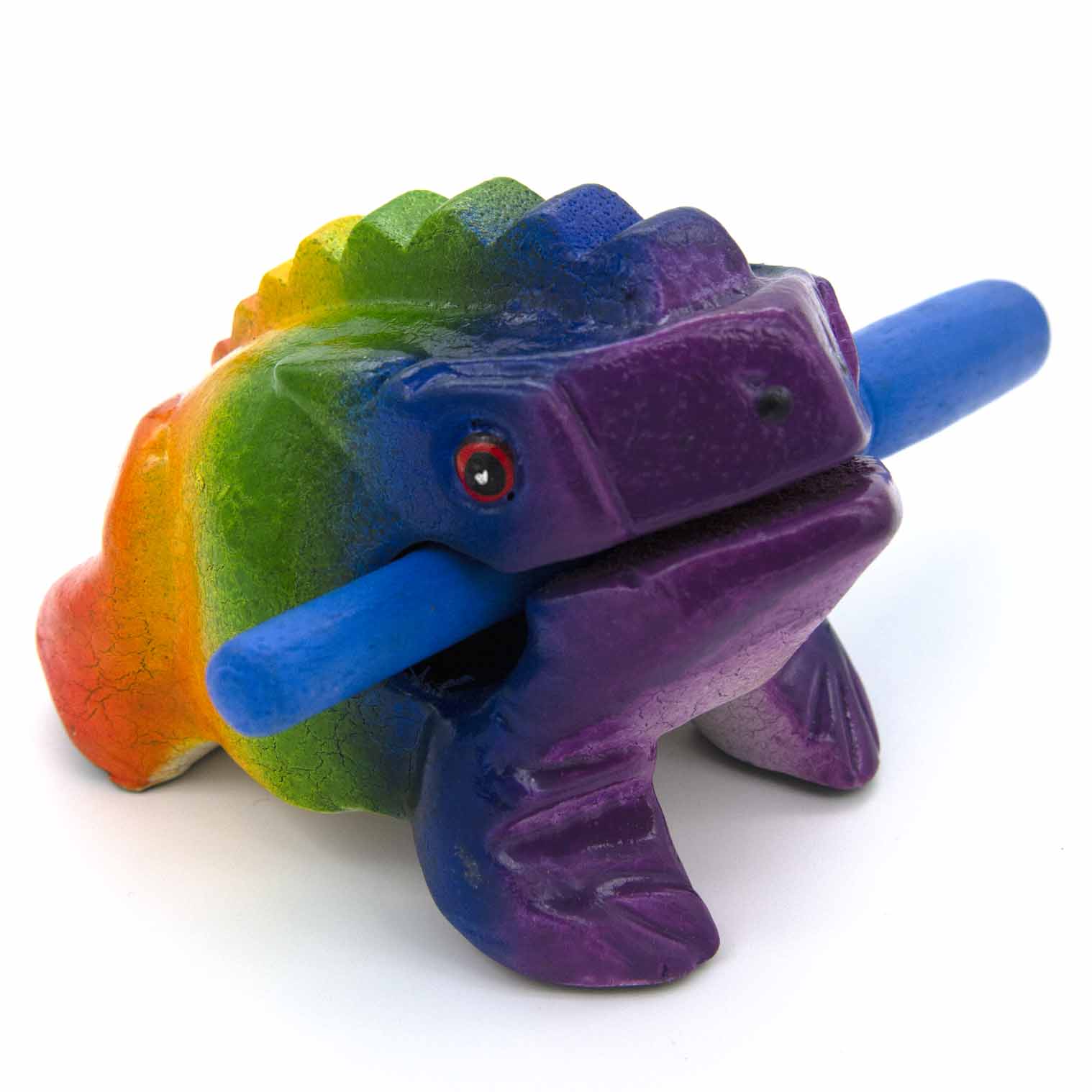 Rainbow frog guiro, straight front view on white background showing violet head and full colour spectrum body