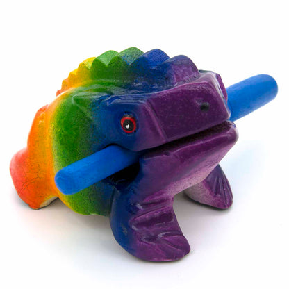 Rainbow frog guiro, straight front view on white background showing violet head and full colour spectrum body