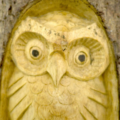 Timber-Treasure Owl in Log Carving