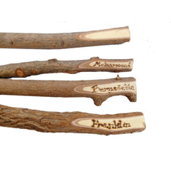 Twig Pencils